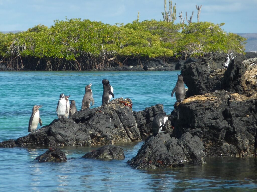 Islas Galapagos