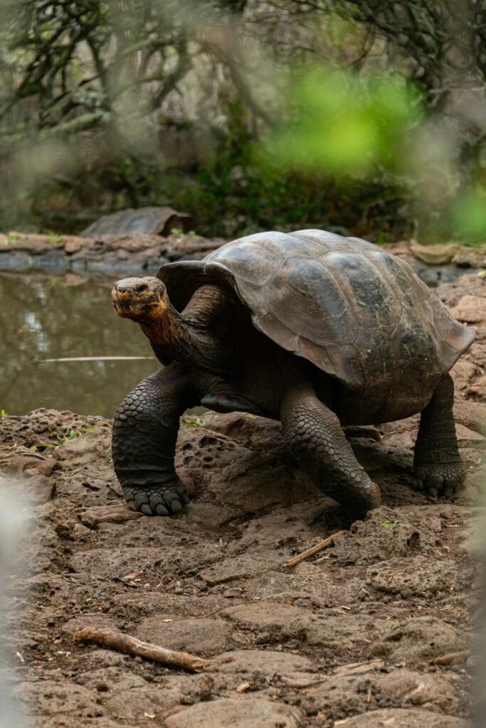 Especialistas en diseñar viajes de autor