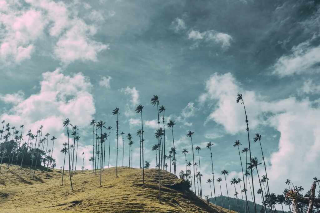 RETIRO DE MUJERES EN EL QUINDIO