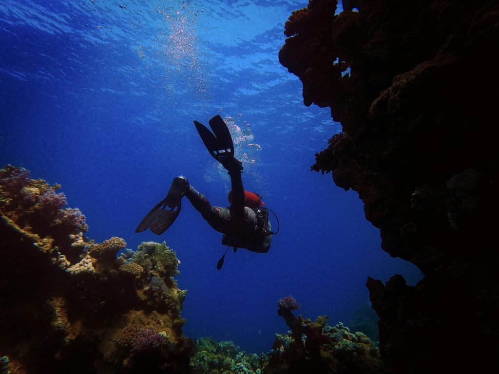 Scuba diver in Galapagos