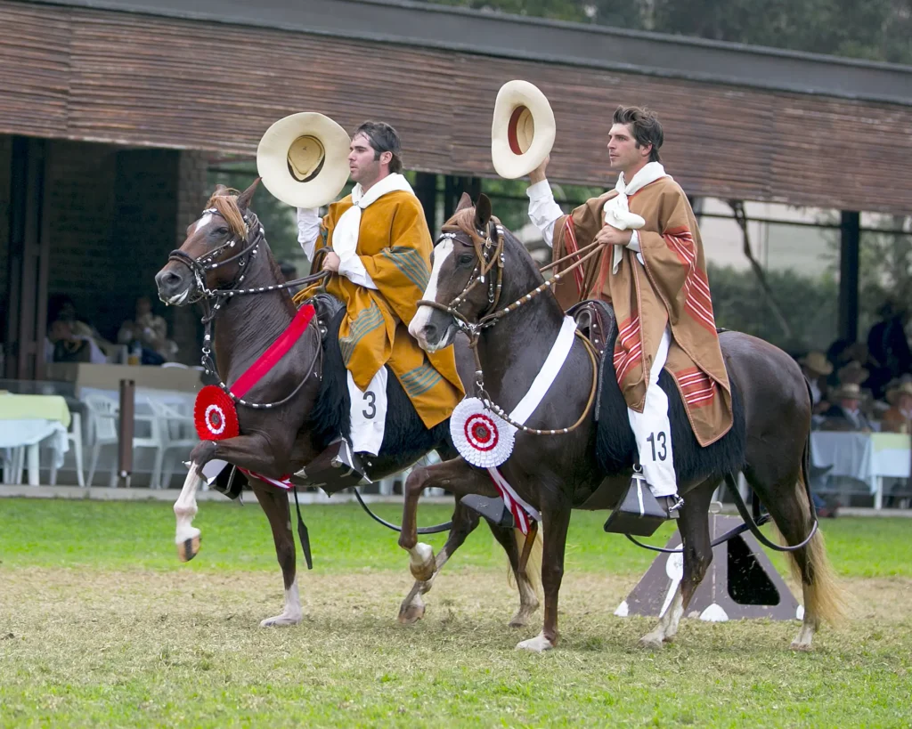 Competencia de caballos de paso en Perú