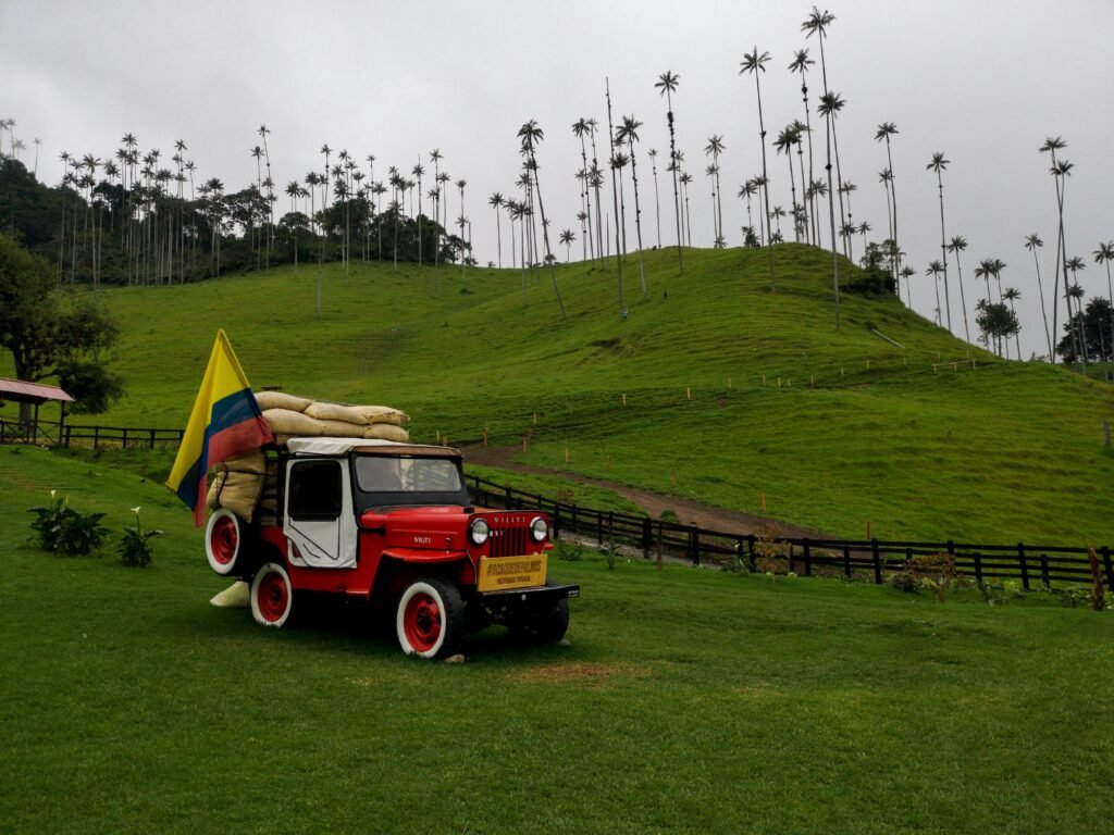 Valle de Cocora, Salento